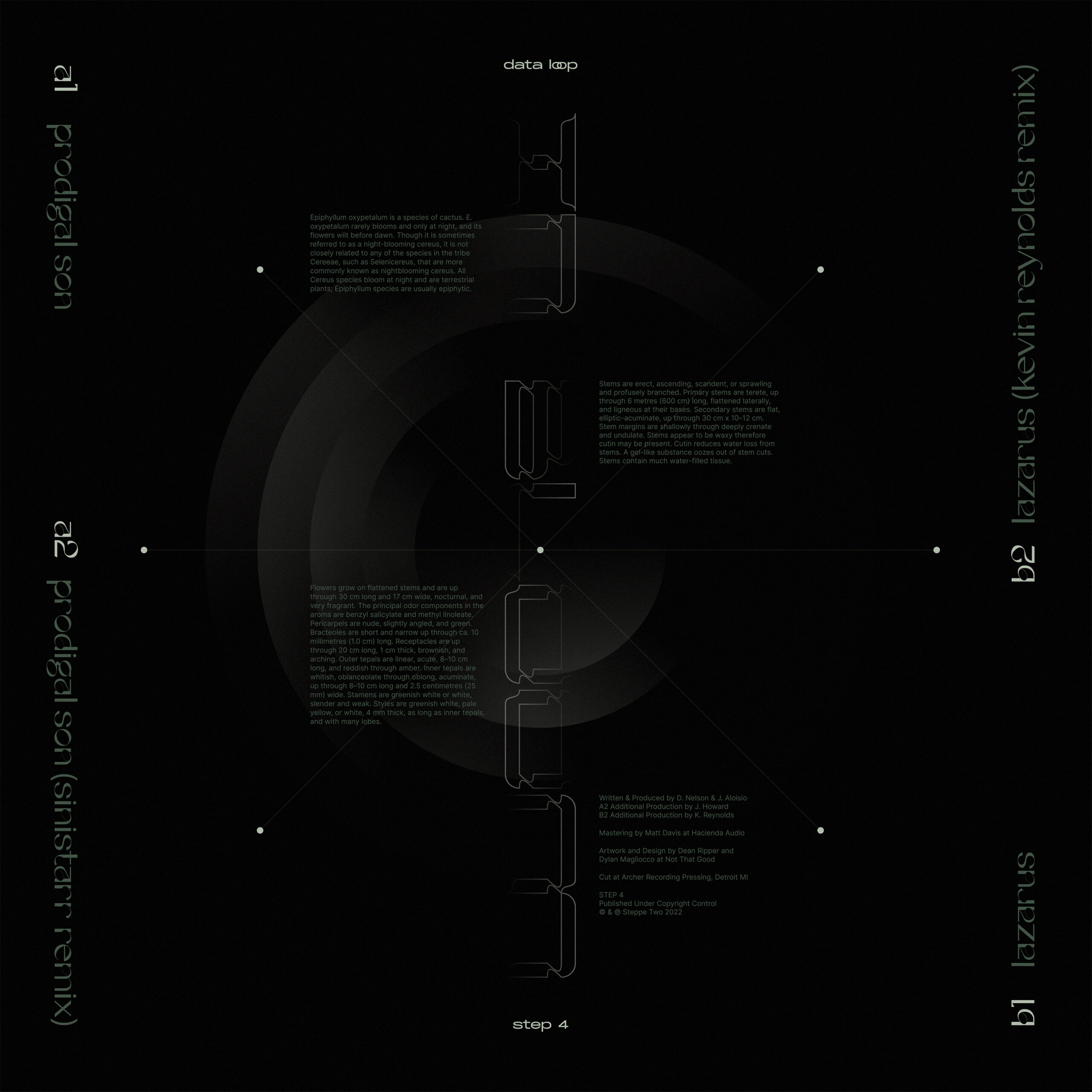 In-Bloom_Back-Artwork_3000px