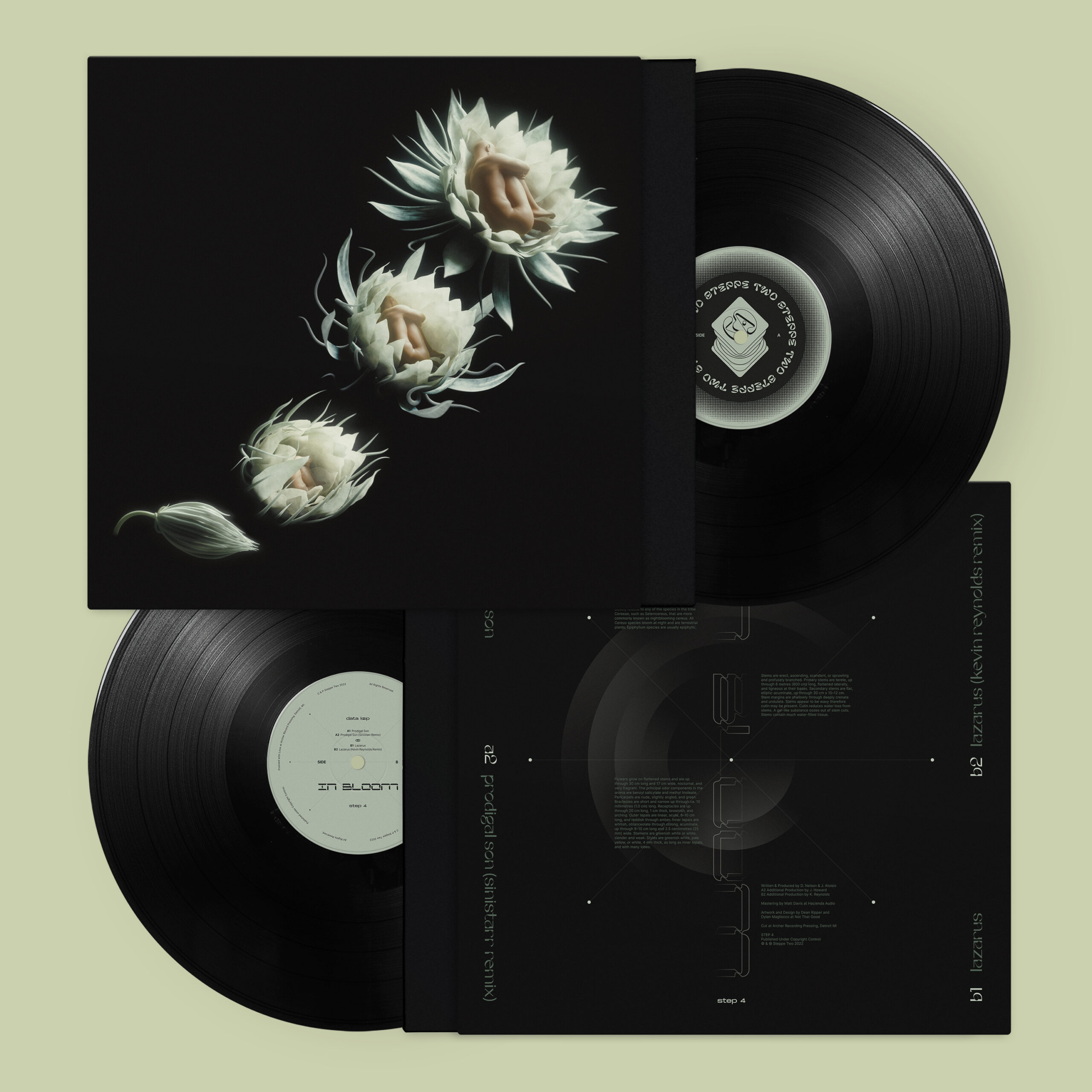 In-Bloom_Vinyl-Mockup_Combo_3000px